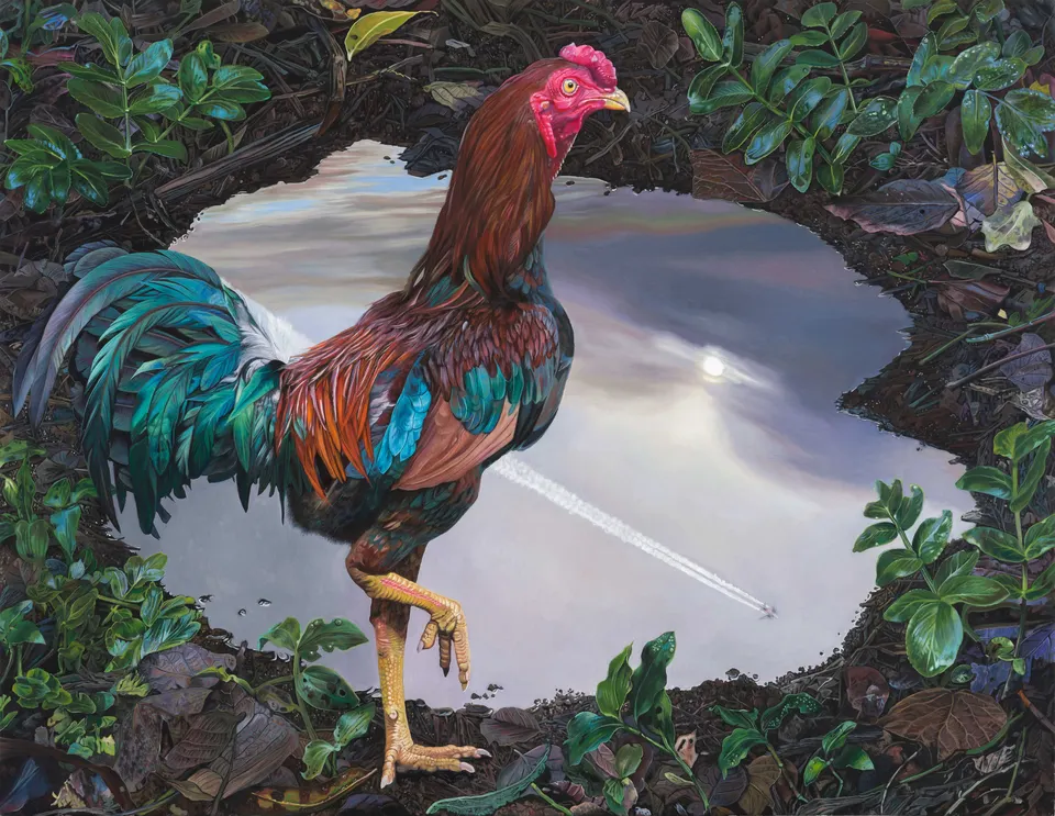 Deborah Poynton, Rooster and Jet