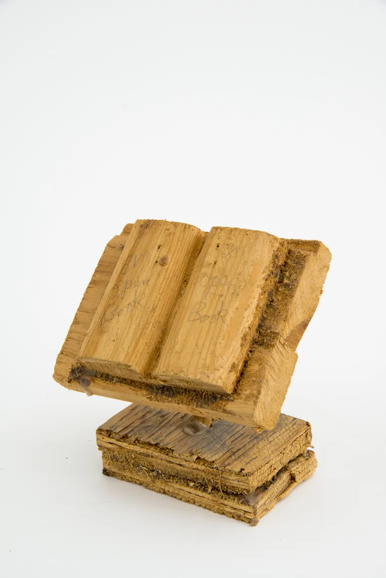 John Byam, Untitled (An Open Book)