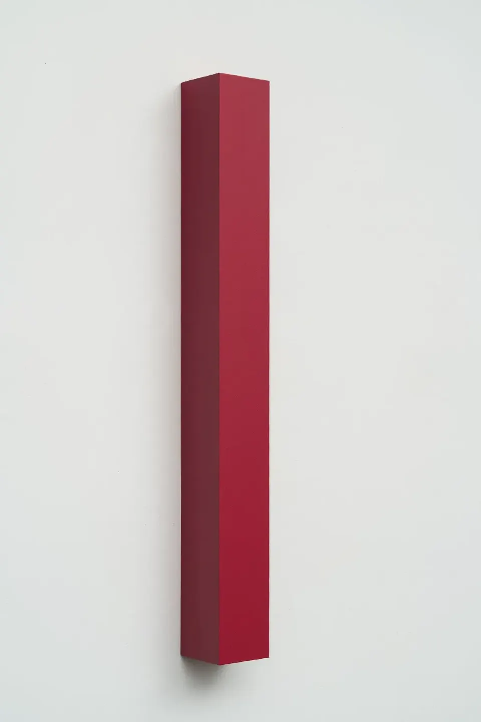 Francine Savard, Anne (rouges au mur)