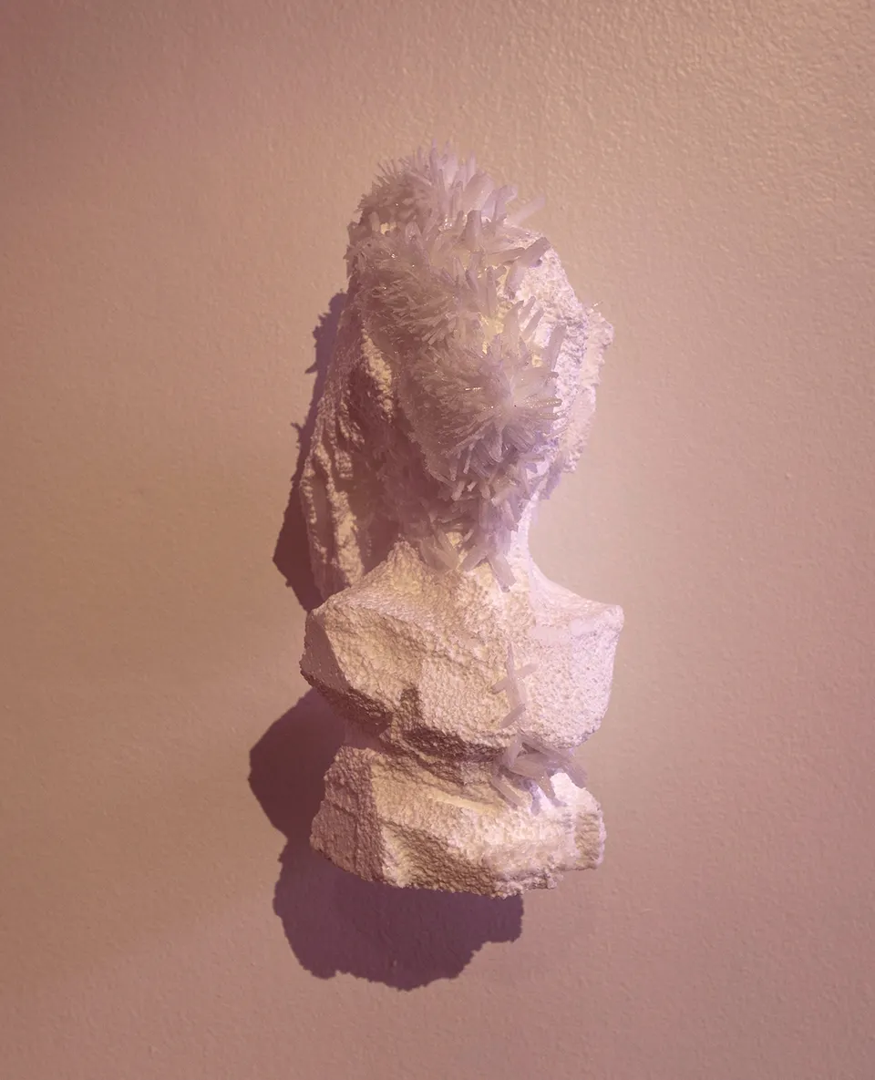 Wim Botha, Untitled (Bloom 10)