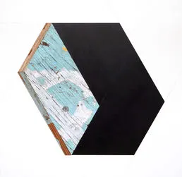 Michael Zelehoski, Out Side