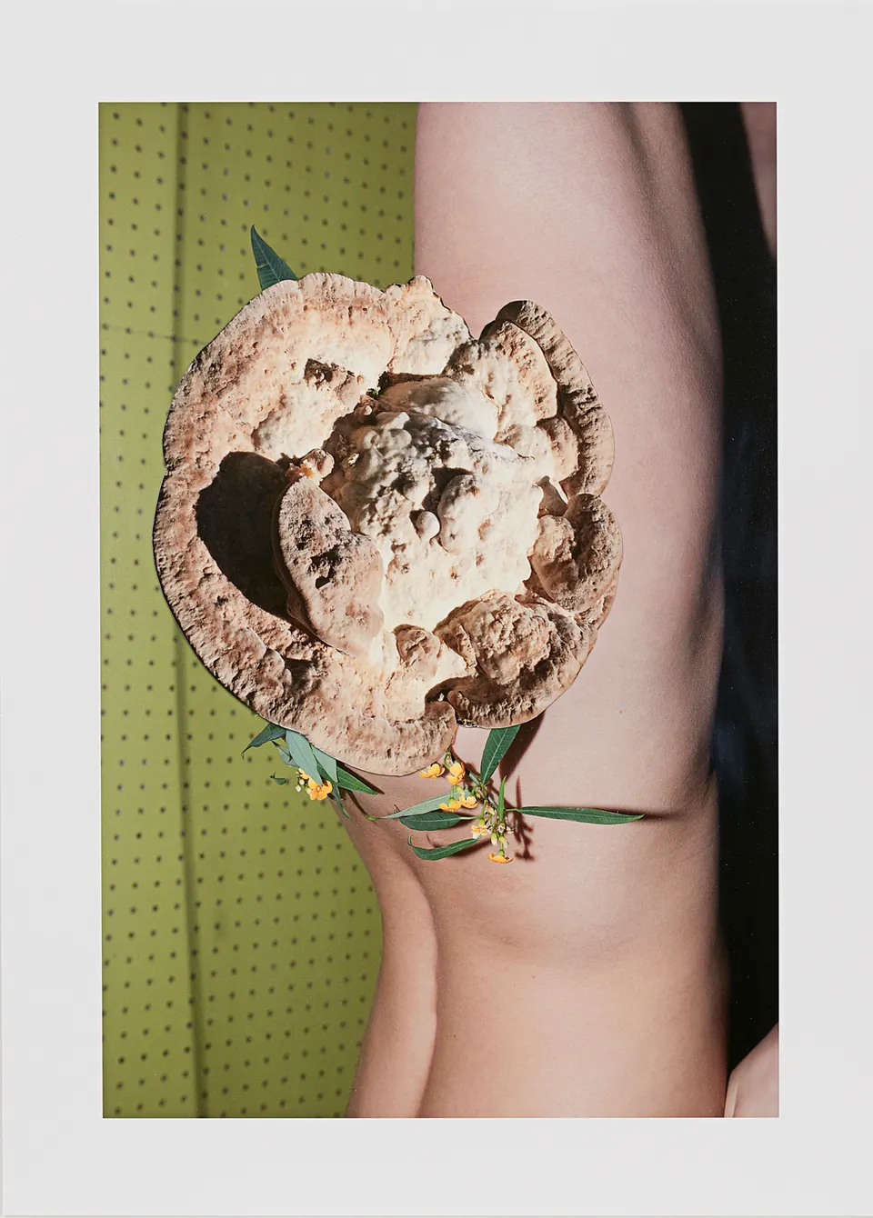 Viviane Sassen, Gallopp