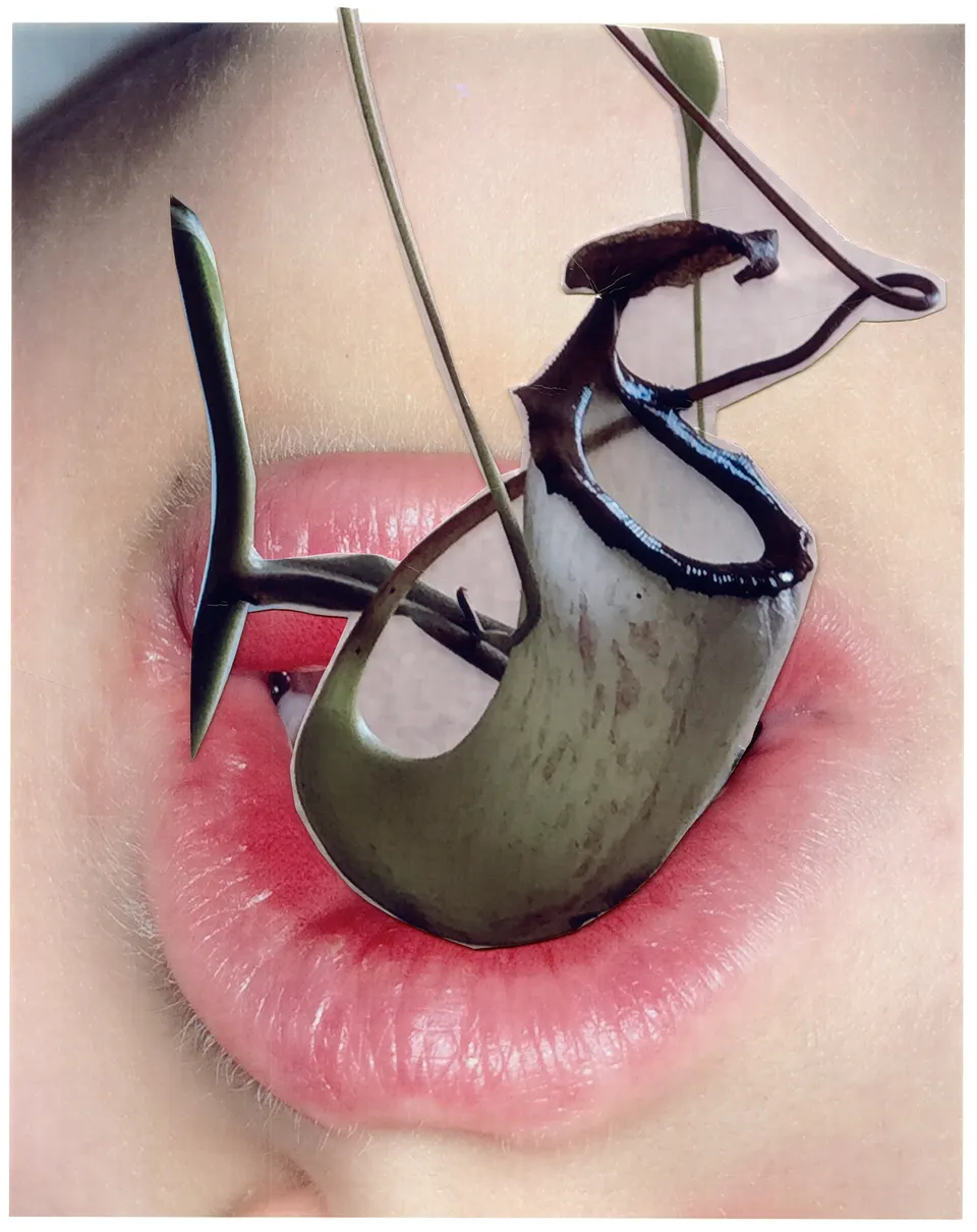 Viviane Sassen, Nepenthes Alata