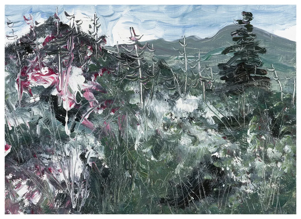 Kim Jiwon, 풍경 landscape