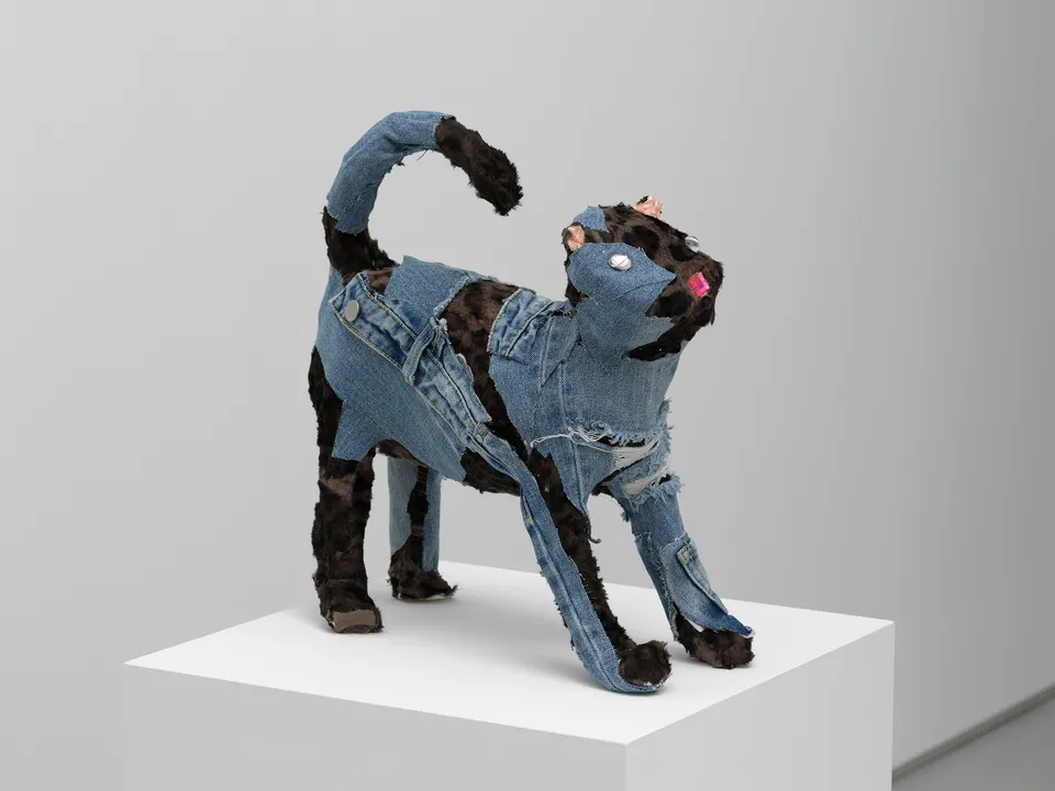 Gina Fischli, Cool Boy