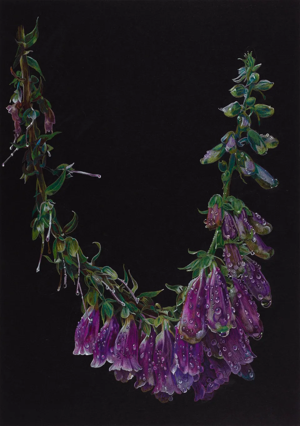 Deborah Poynton, Drawing on Black Paper 17