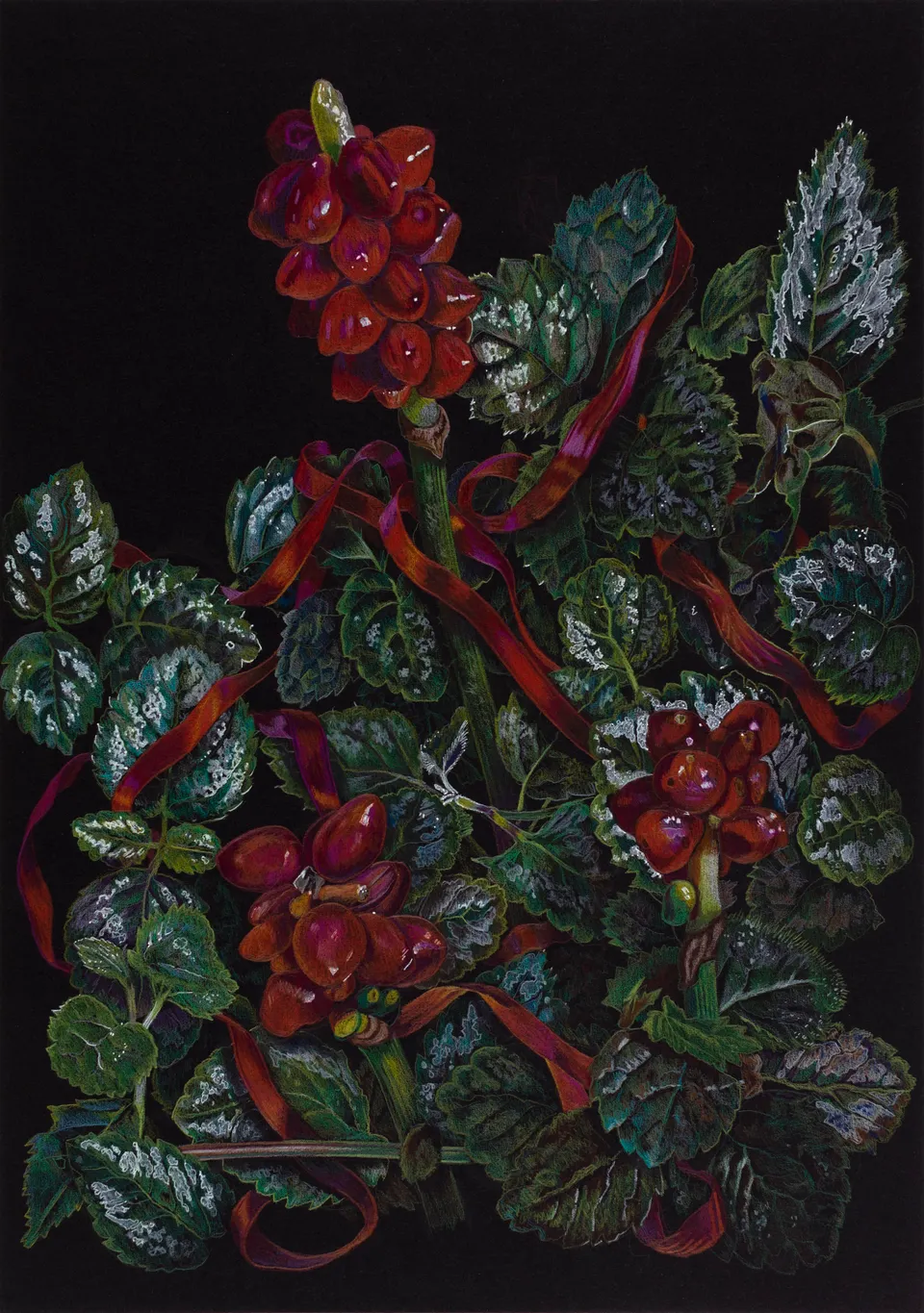 Deborah Poynton, Drawing on Black Paper 24