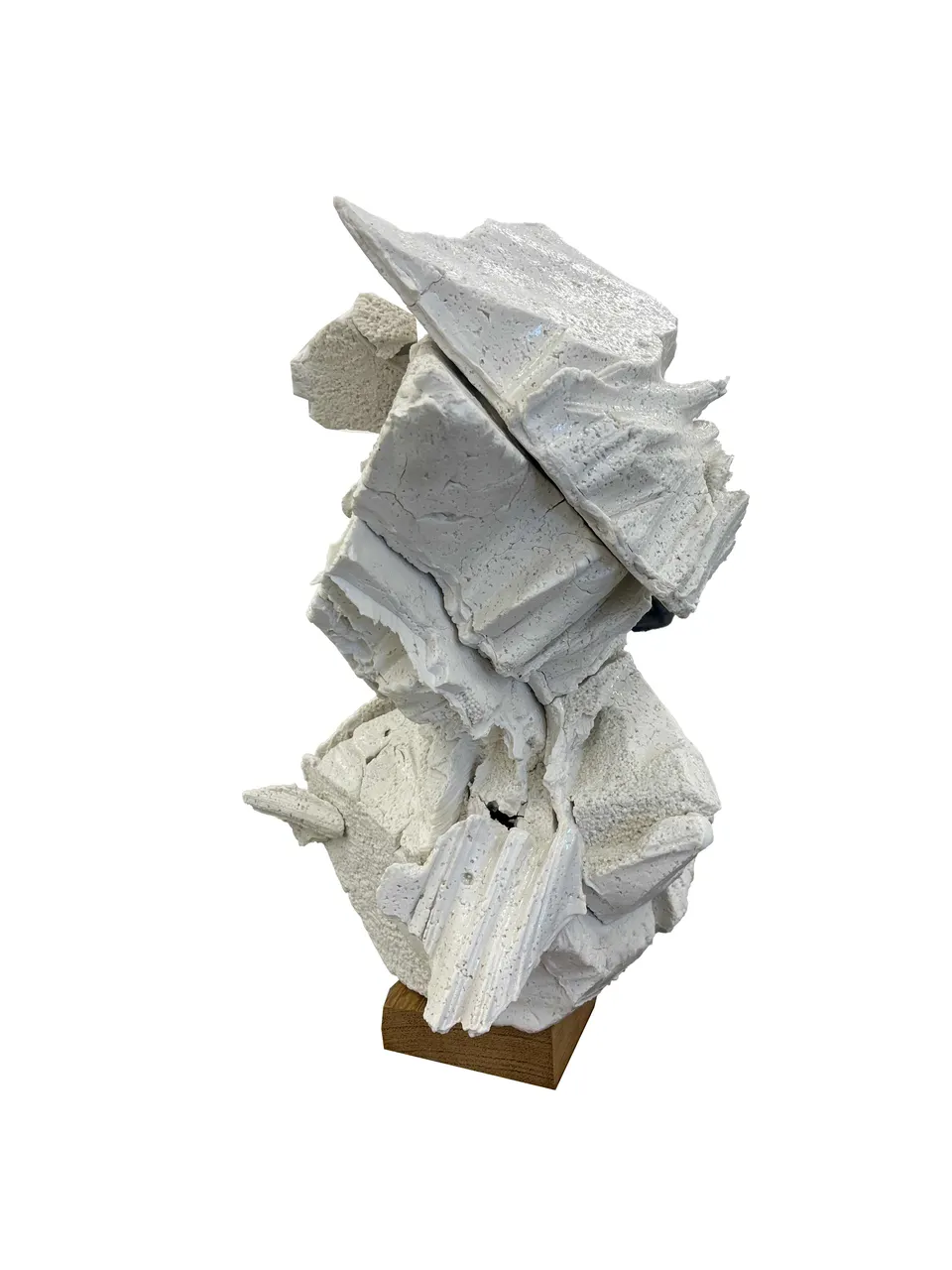 Wim Botha, Untitled (I withhold 4)