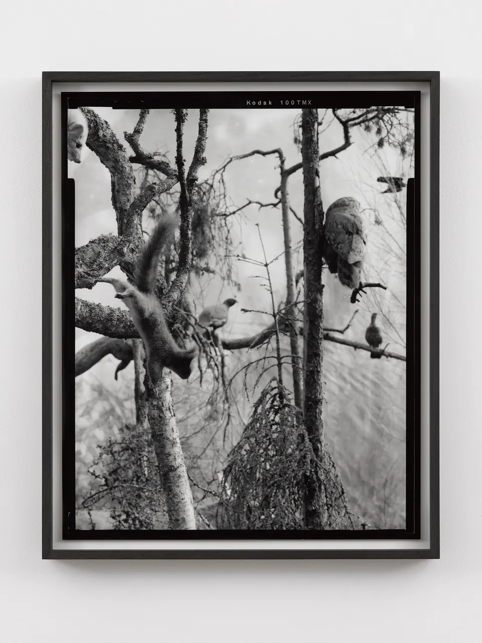 Gerard Byrne, Seventh Beast