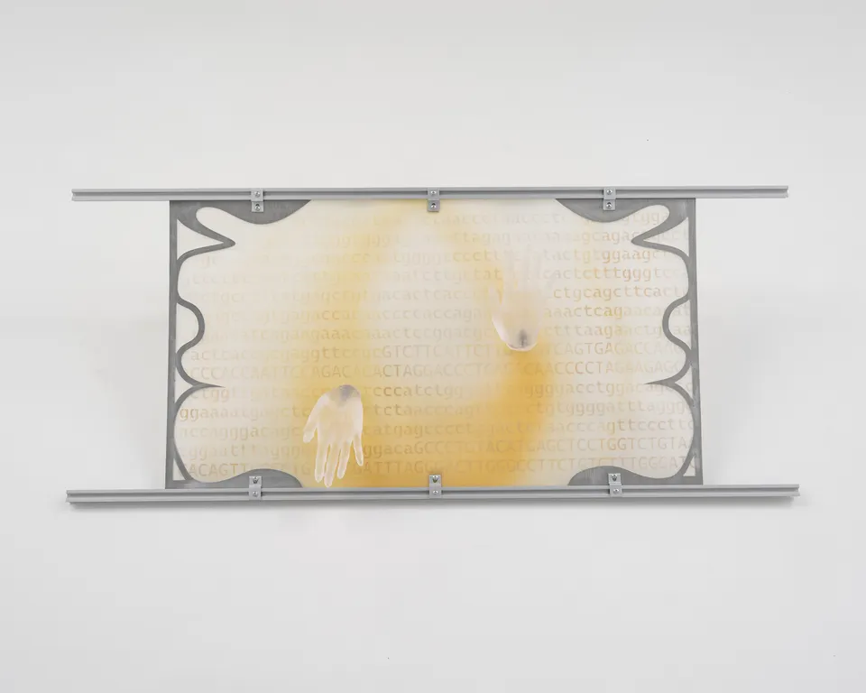 Xin Liu, An attempt to touch you