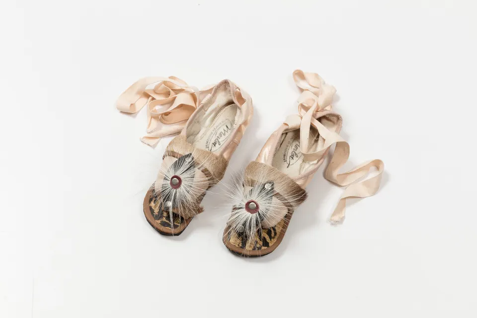 Steven Cohen, put your heart under your feet ... and walk! (appropriation)
