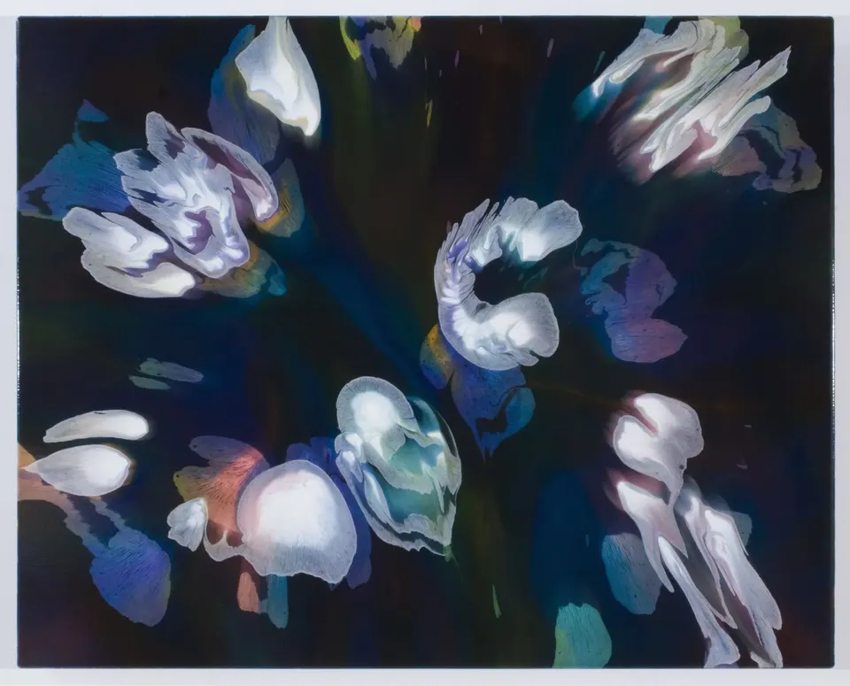 François Lacasse, Secrets floraux XXIII