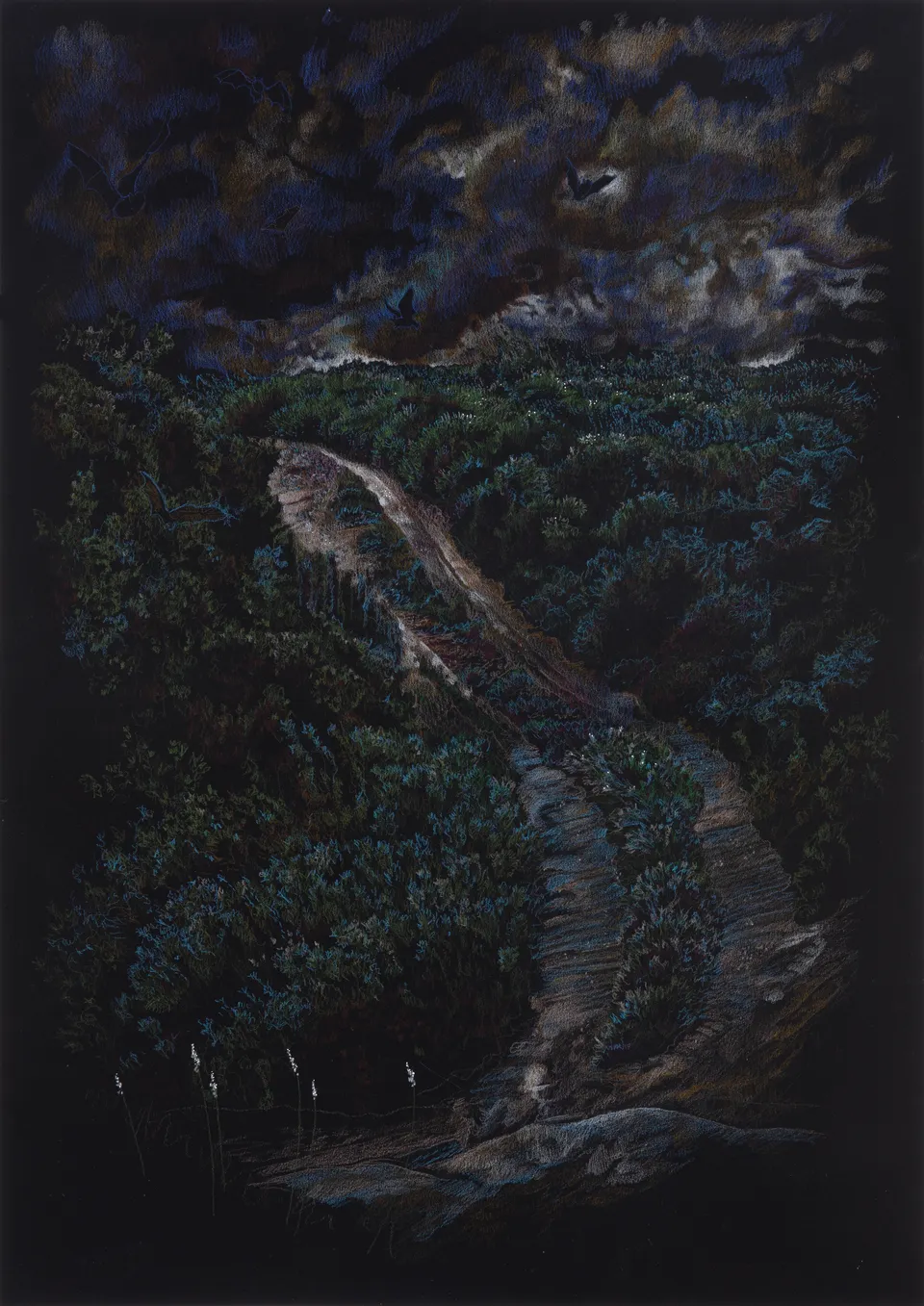 Deborah Poynton, Drawing on Black Paper 3