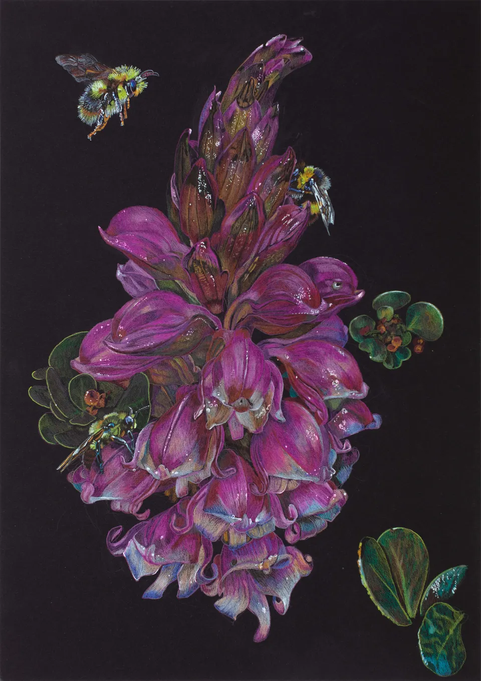 Deborah Poynton, Drawing on Black Paper 28