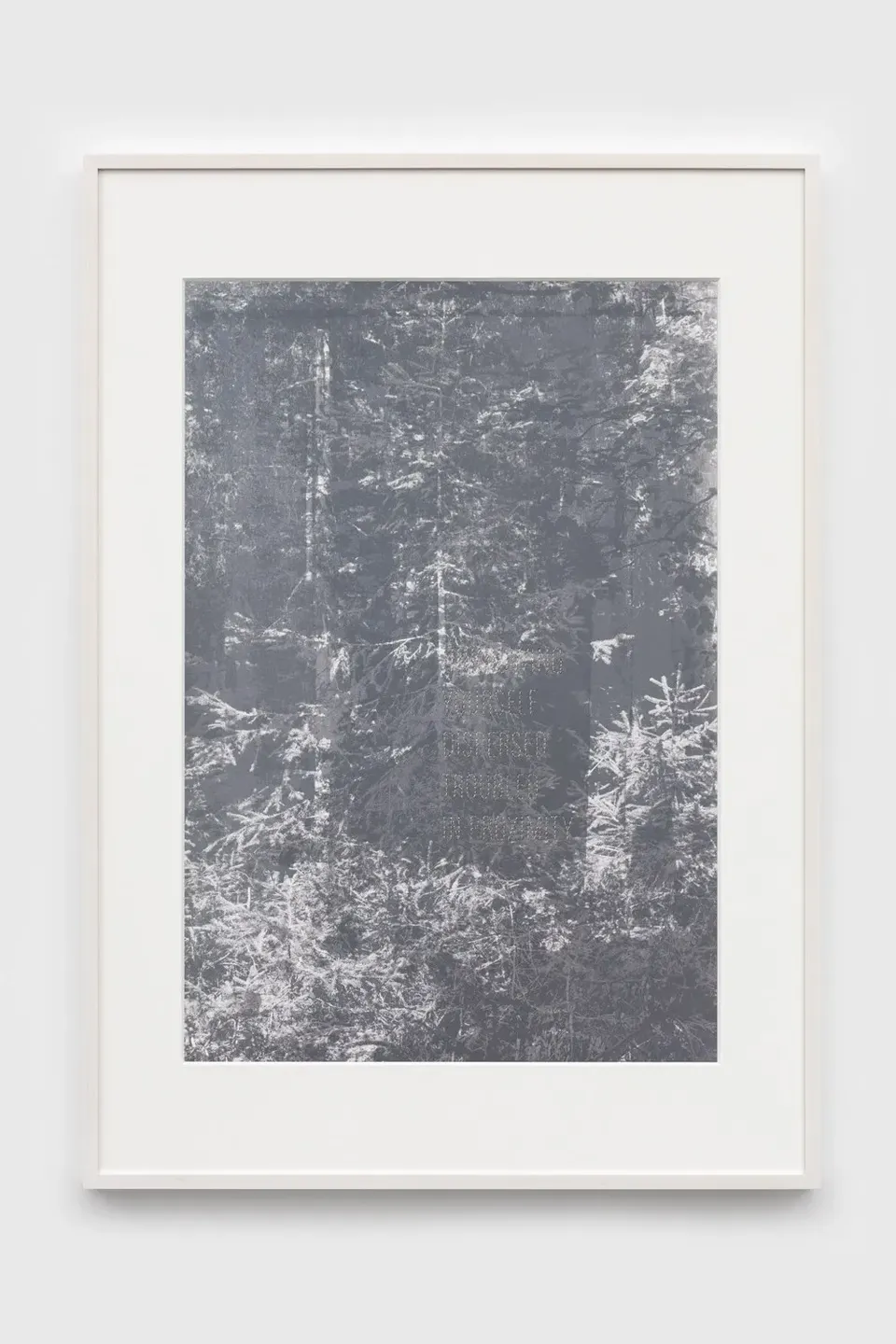 Andrea Geyer, Borderlands (Unknowing)
