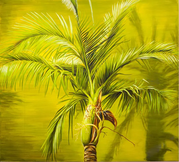 Christopher Bassi, Shade from the Sun