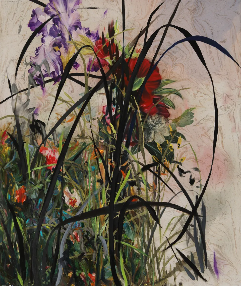 Cody Choi, Noblesse Hybridige #19622B