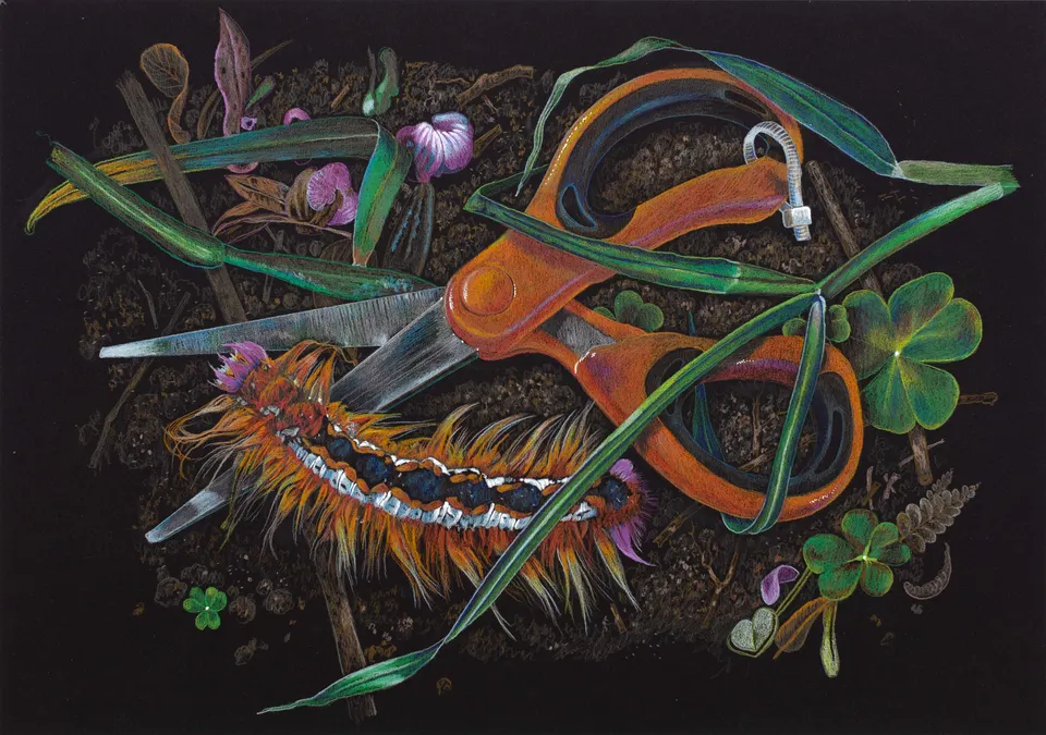 Deborah Poynton, Drawing on Black Paper 38