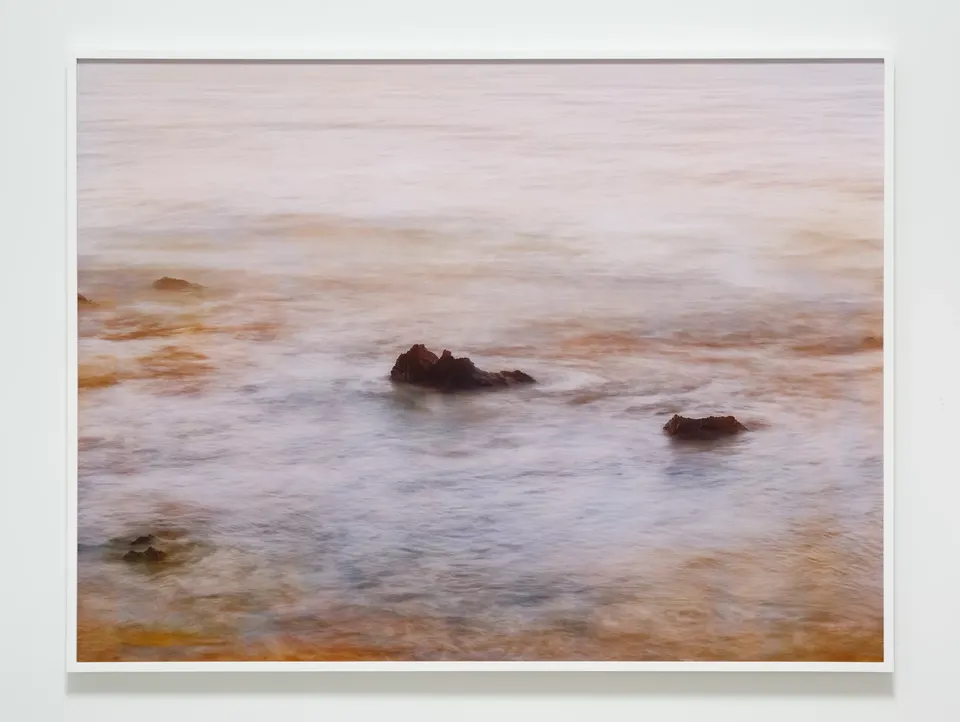 Trevor Paglen, Near Bodega Bay Deep Semantic Image Segments