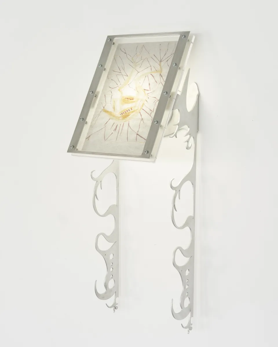 Xin Liu, Fortune Tellers: The Spider's Trap