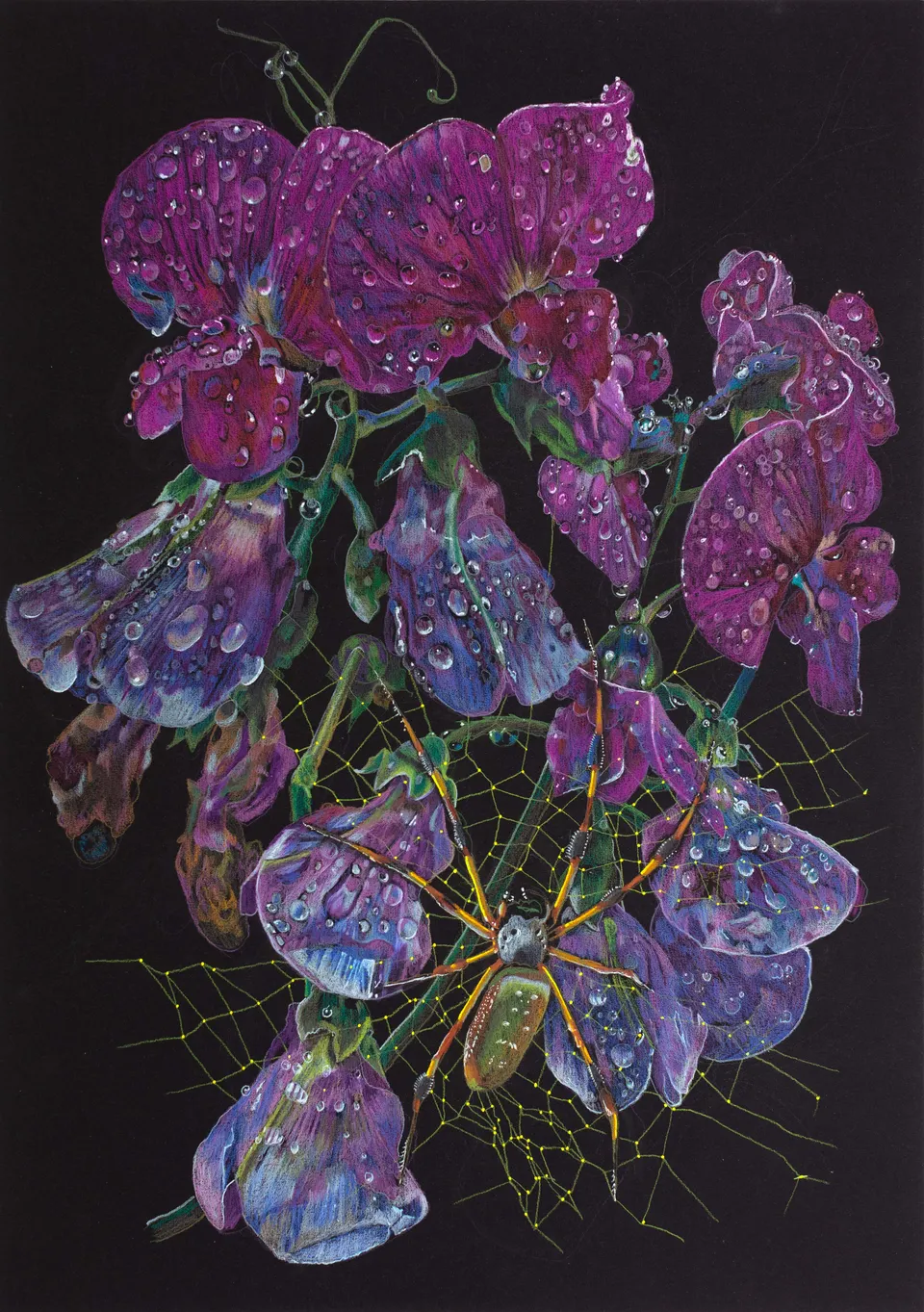 Deborah Poynton, Drawing on Black Paper 35