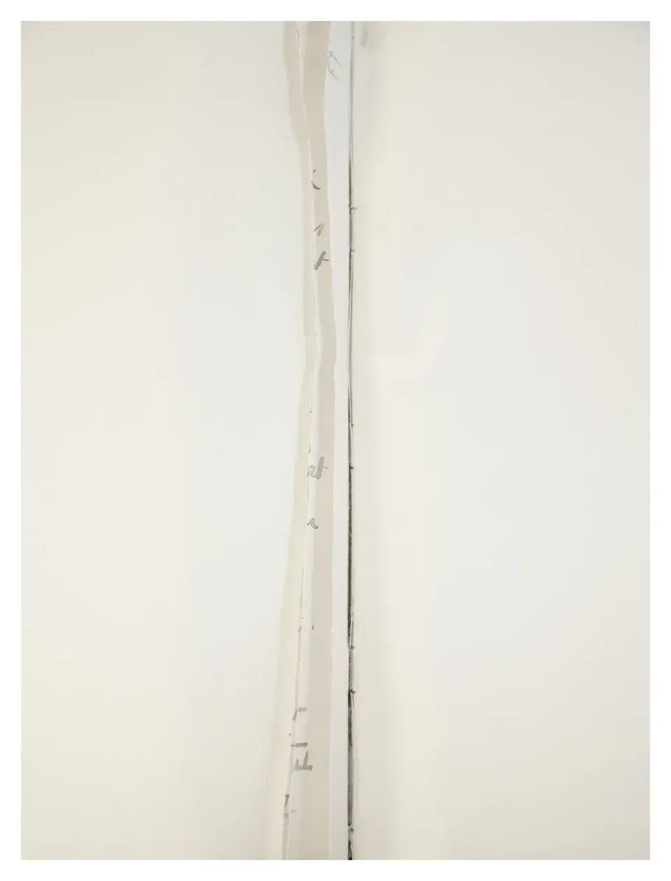 Andrea Geyer, Timefold from the notebooks of Gertrude Vanderbilt Whitney