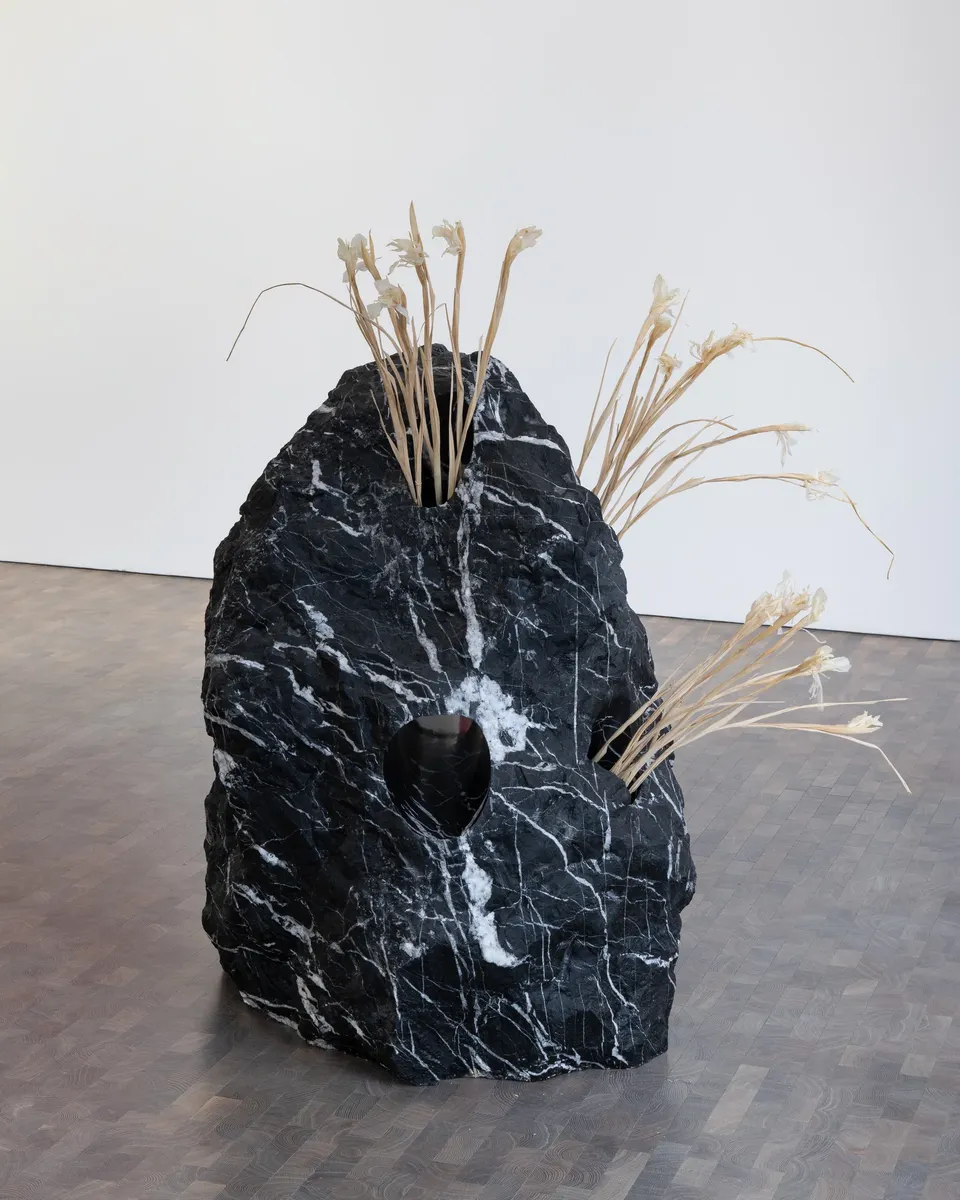 Mika Tajima, Negentropica, 1