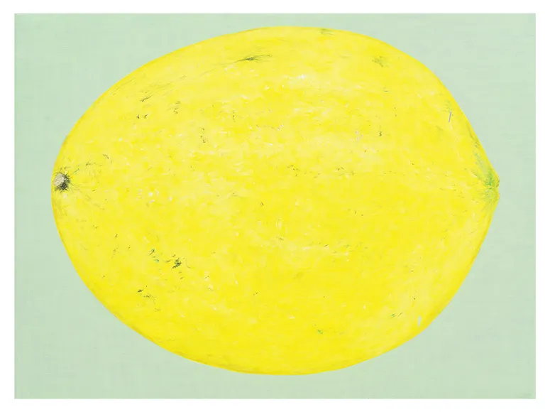 Kim Jiwon, 레몬 lemon
