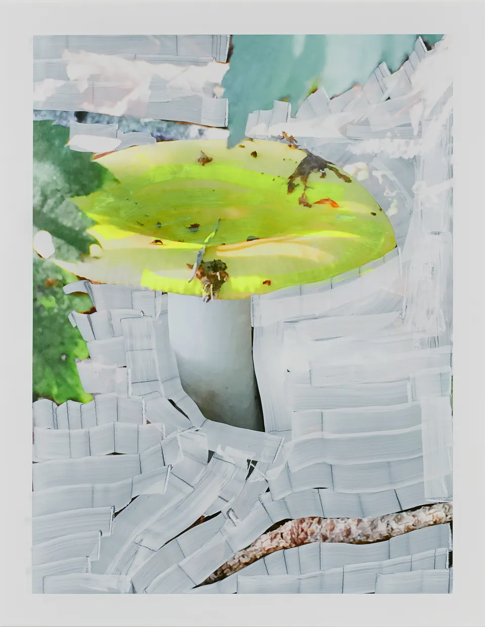 Viviane Sassen, Russula Claroflava