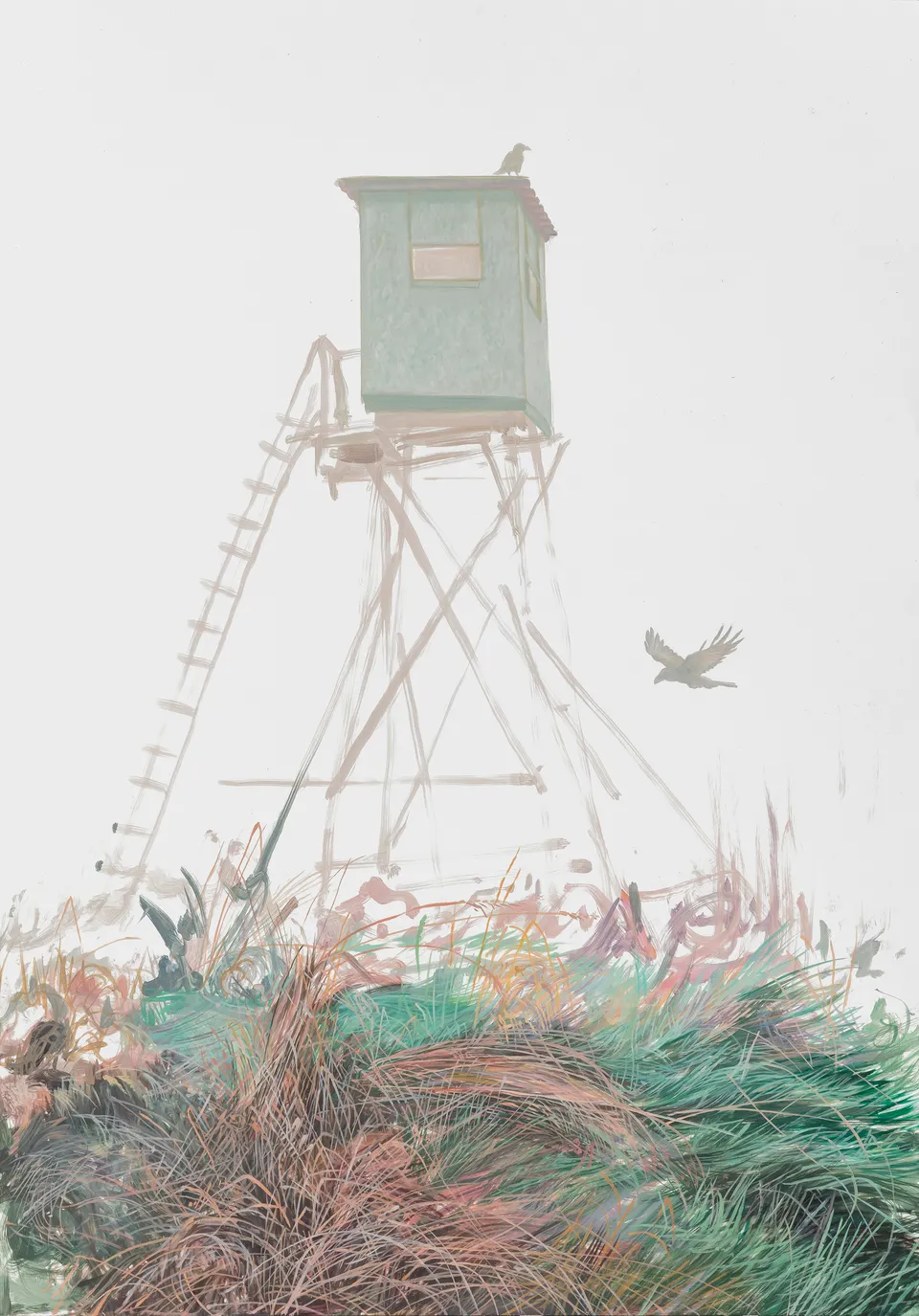 Deborah Poynton, Hide