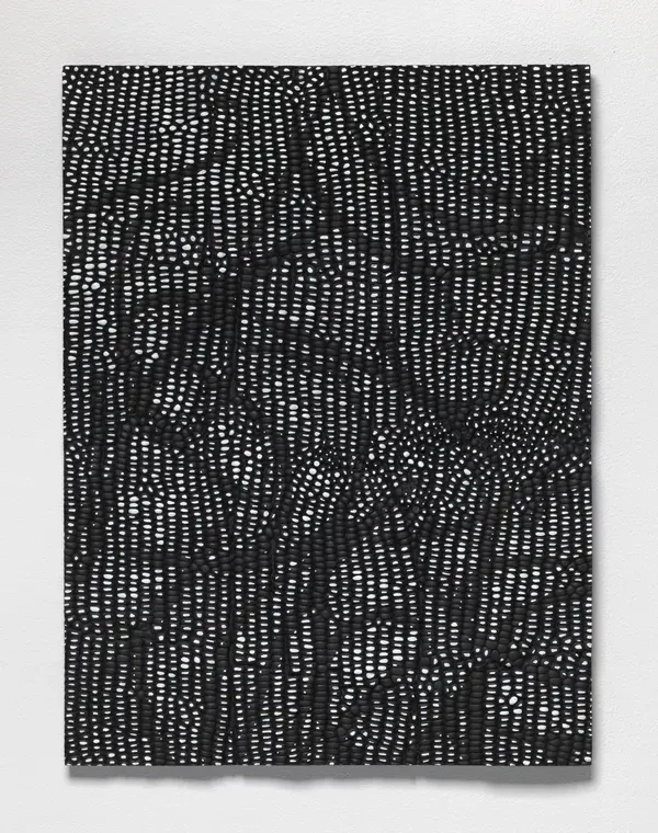 Lucy Kim, Vanilla Beans (Black and White) 1