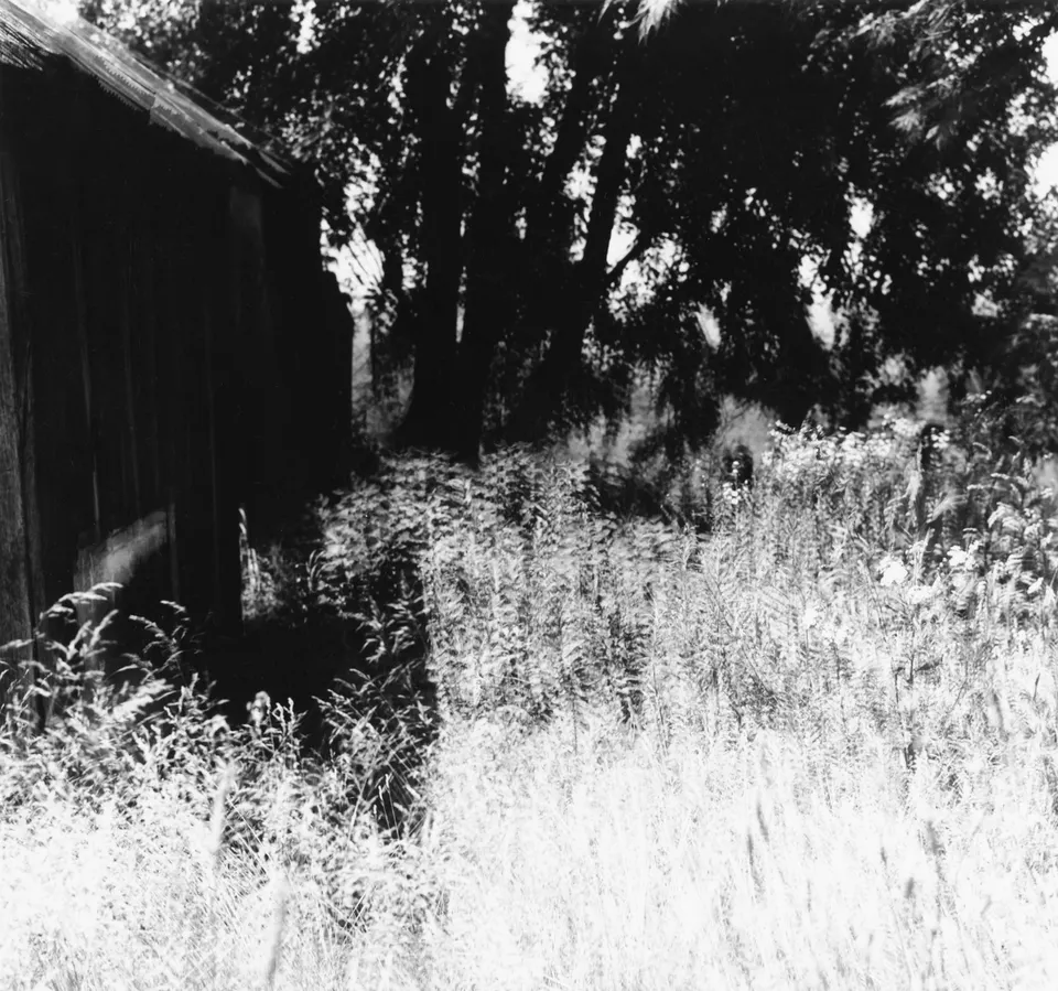 Ralph Eugene Meatyard, Untitled
