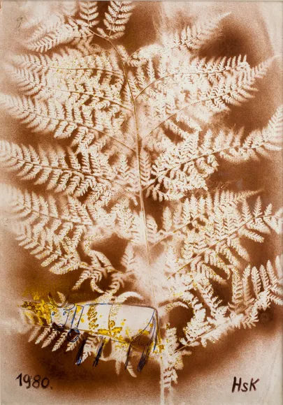Hans Krüsi, Untitled
