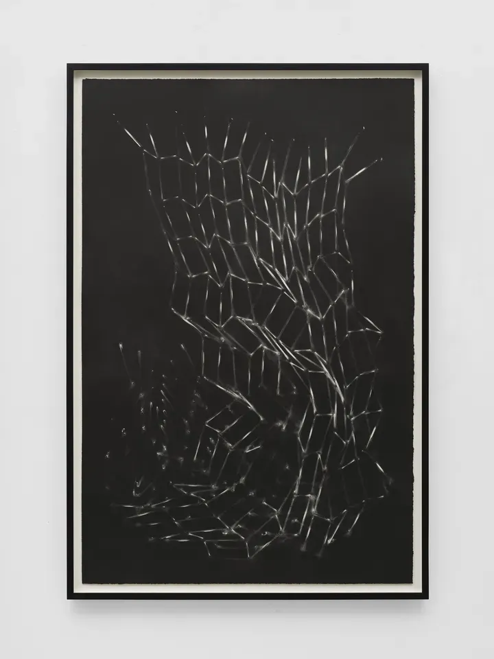Mona Hatoum, Untitled (bed springs) II