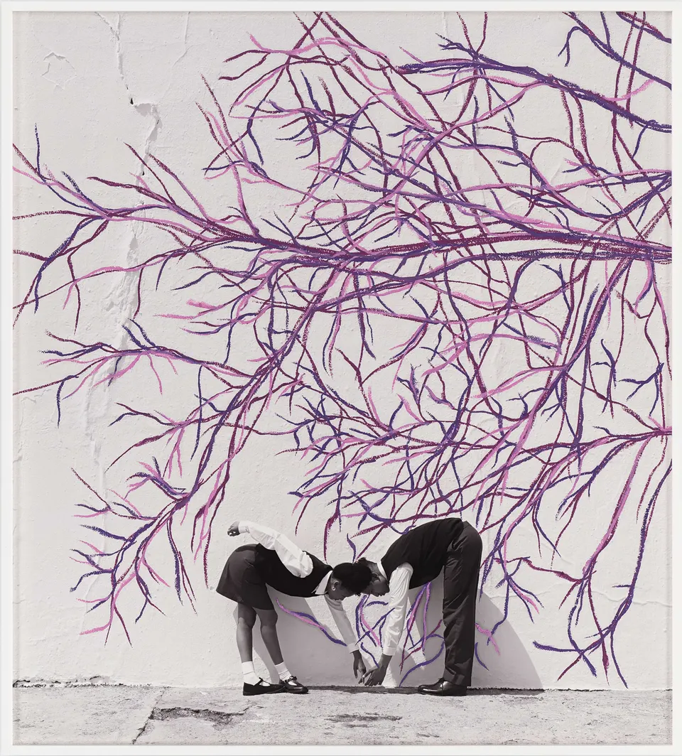 Robin Rhode, Jacaranda Vignette 5