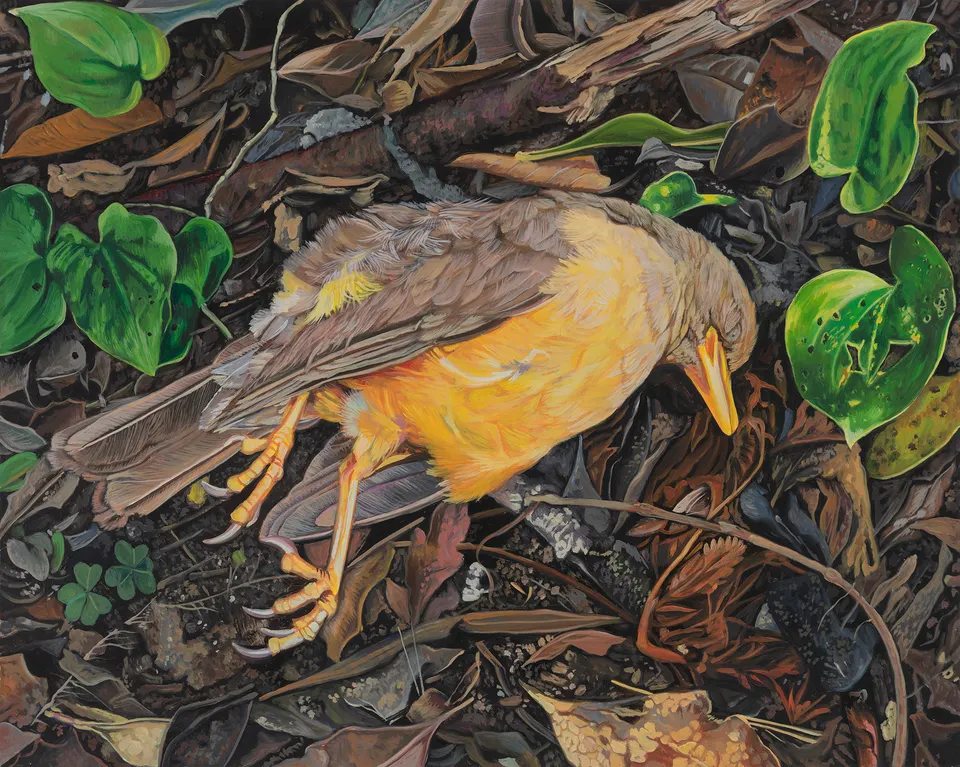 Deborah Poynton, Bird