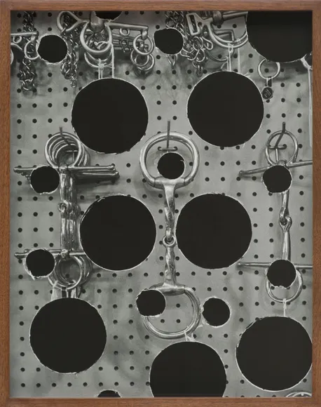 Elad Lassry, Bits