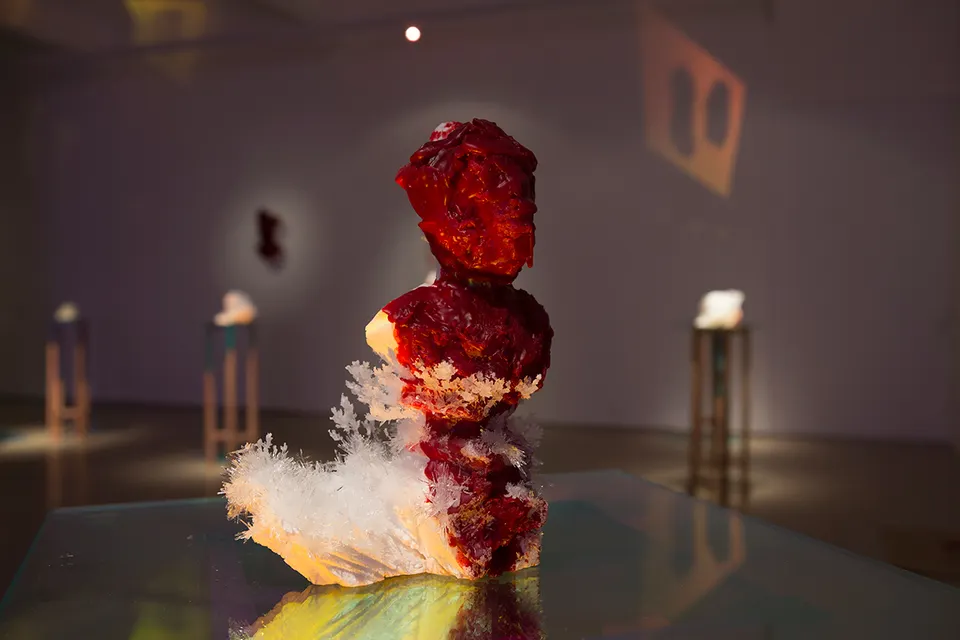 Wim Botha, Untitled (Bloom 9)