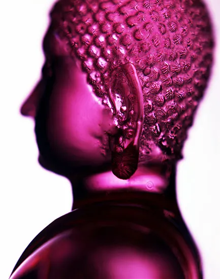 Manit Sriwanichpoom, Glass Buddha #10