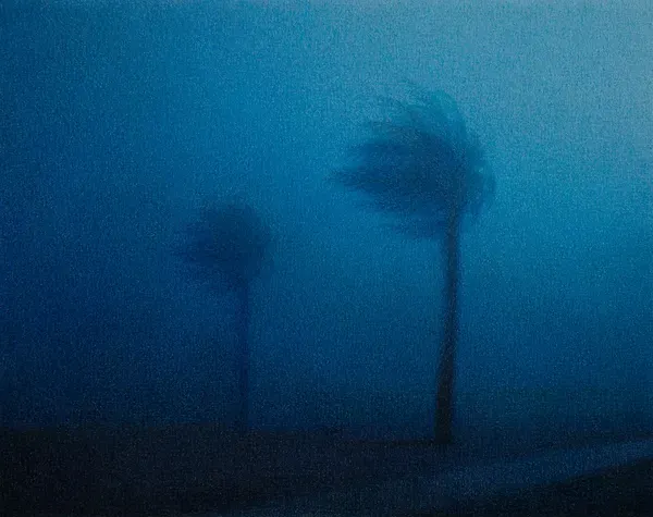 Steffen Kern, Two Palm Tress
