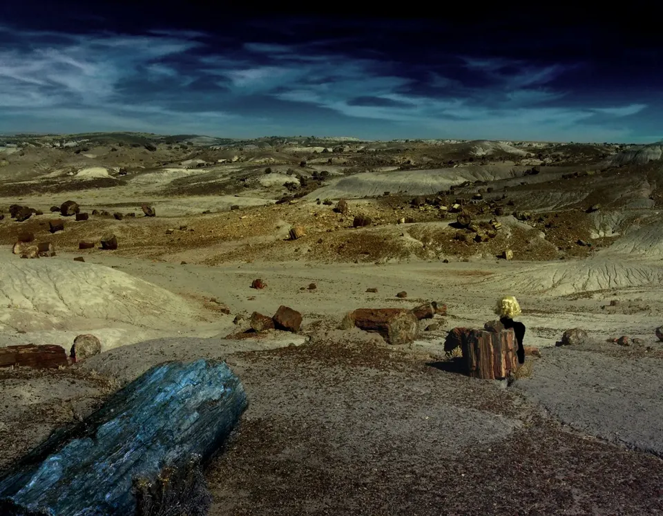 Bonnie Baxter, Southwest III