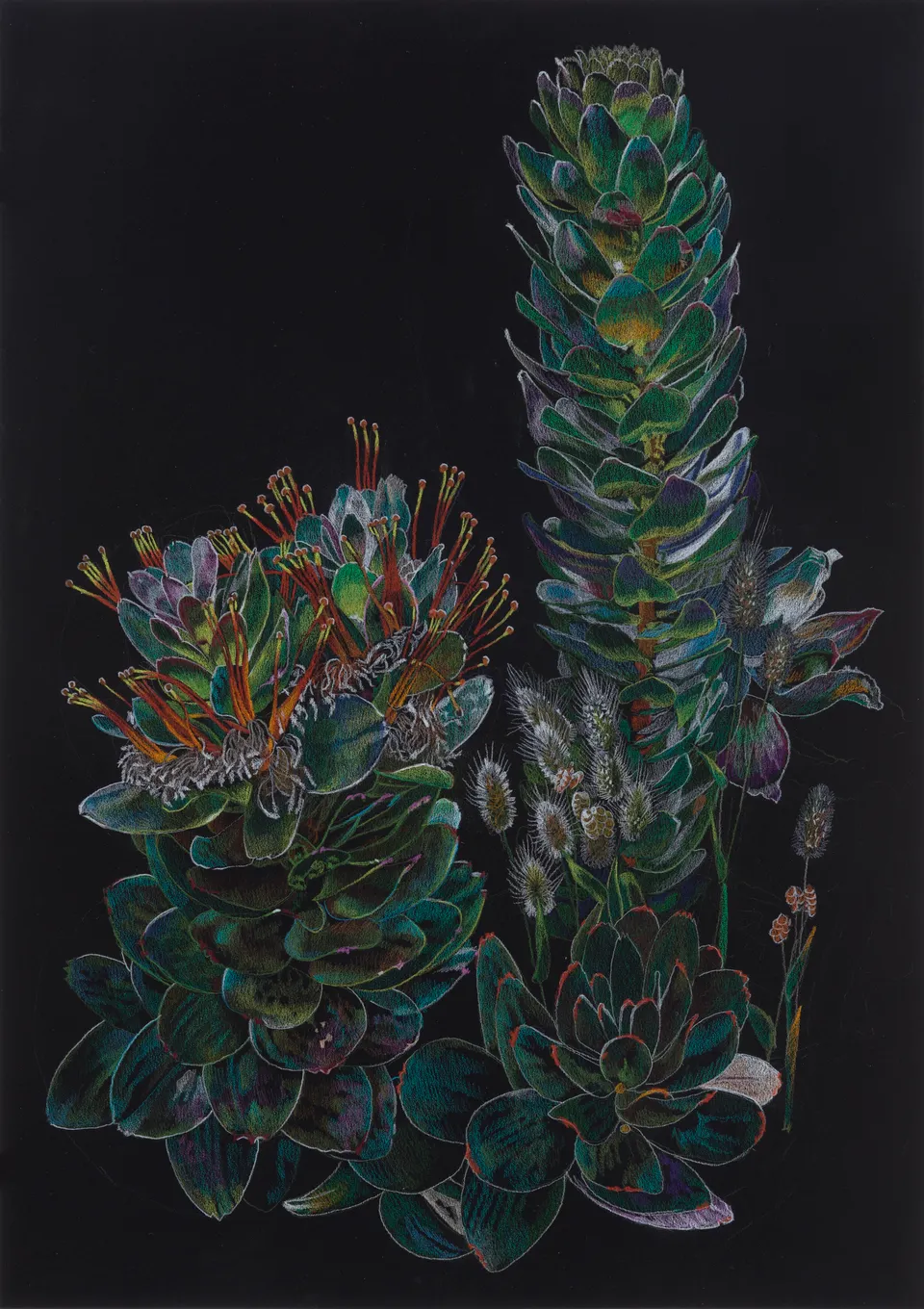 Deborah Poynton, Drawing on Black Paper 4