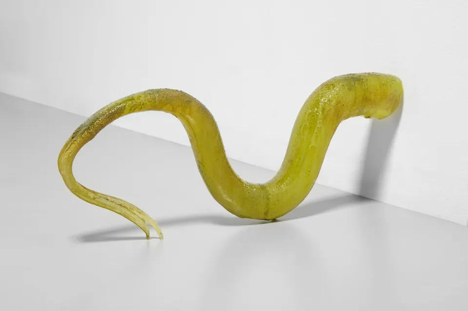 Olivia Erlanger, Ophidio (Moss)