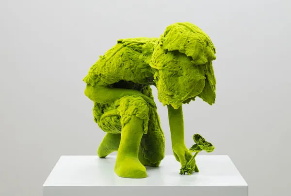 Kim Simonsson, The Poppy Collector