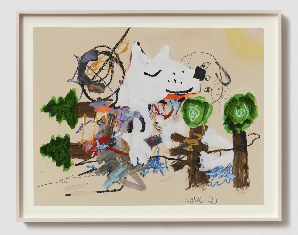 Robert Nava, Arctic Timber Fox Resting