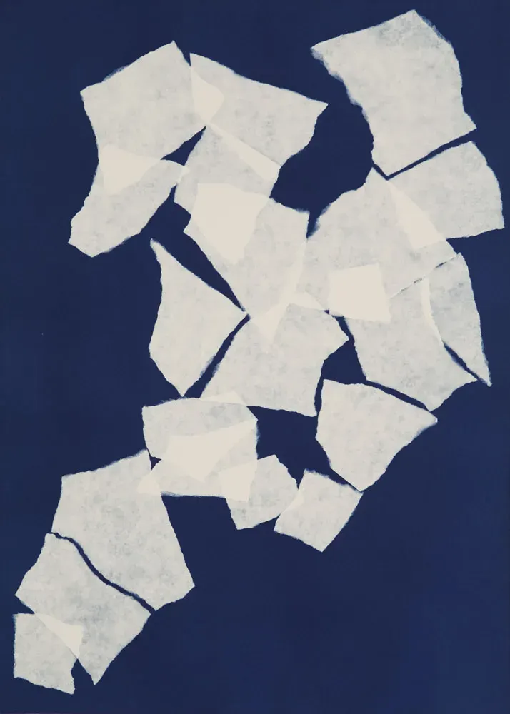 Manon De Pauw, Fracas