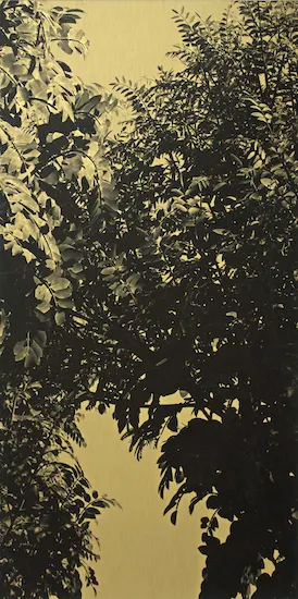 Jason Wee, Constellations (Tanjong Rhu)