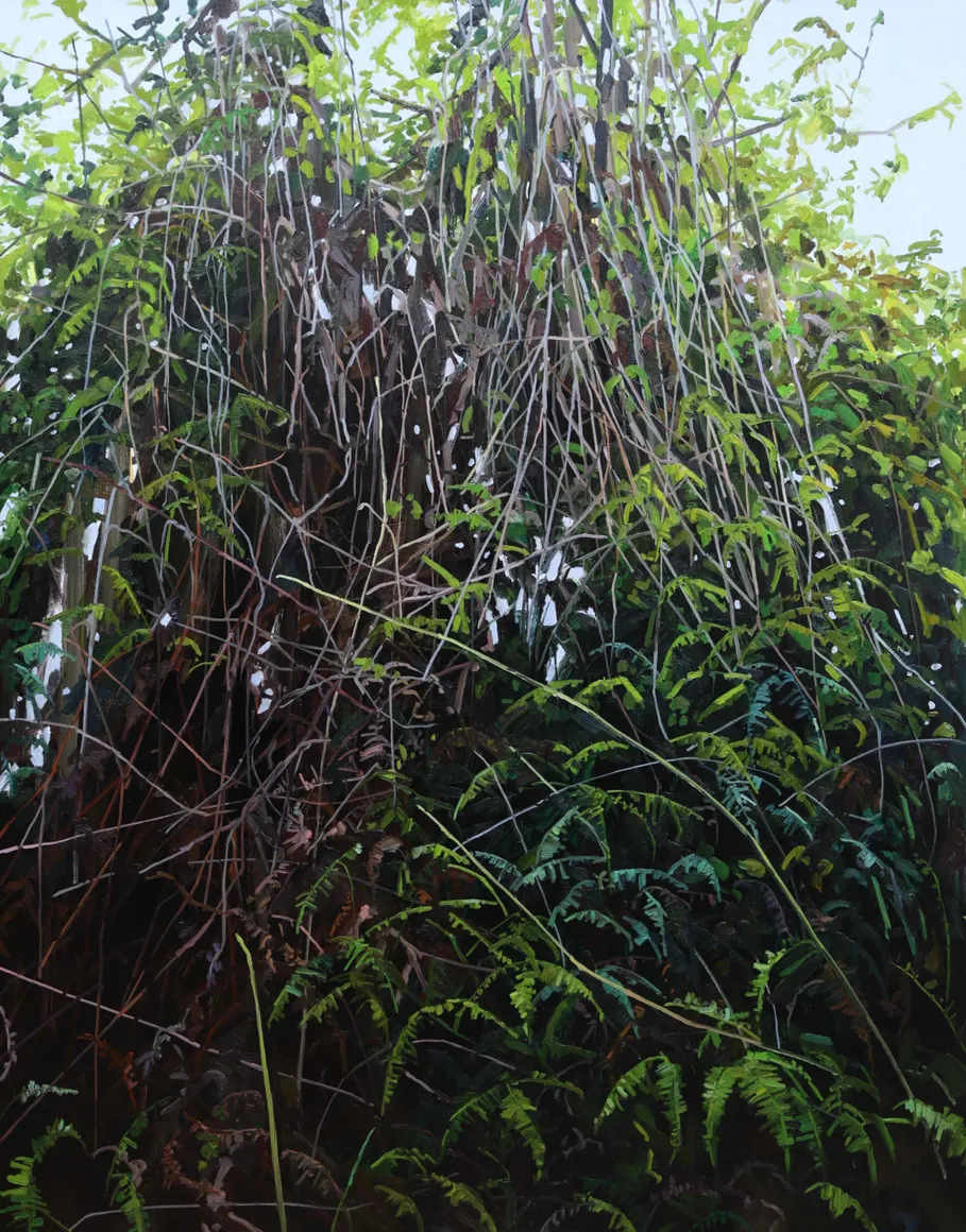 Claire Sherman, Vines