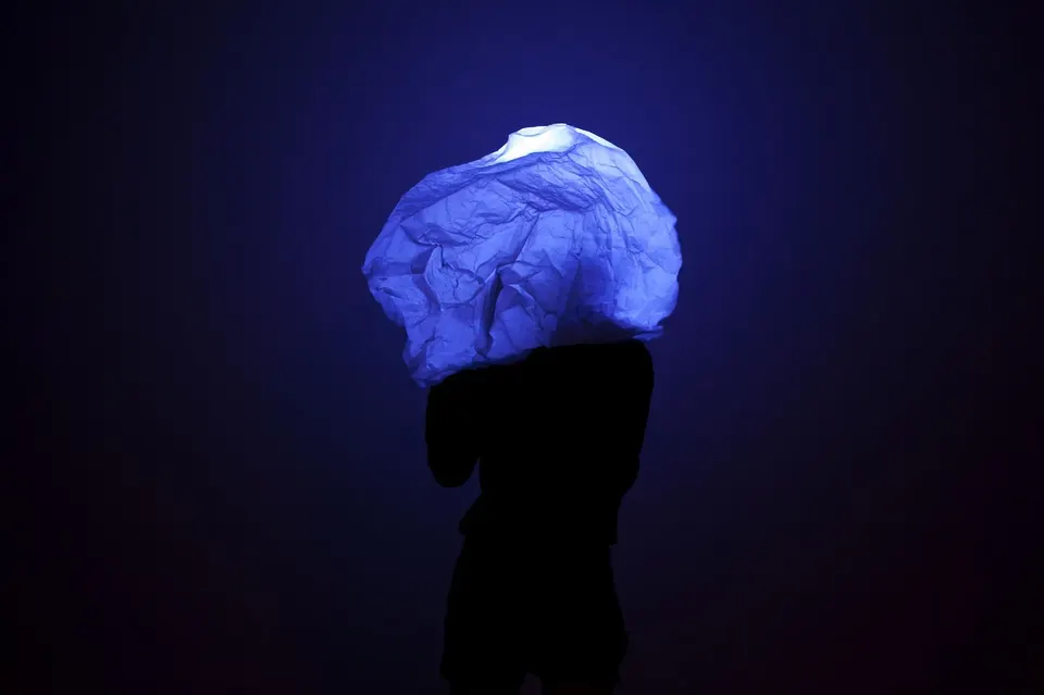 Manon De Pauw, Tête lumineuse 2