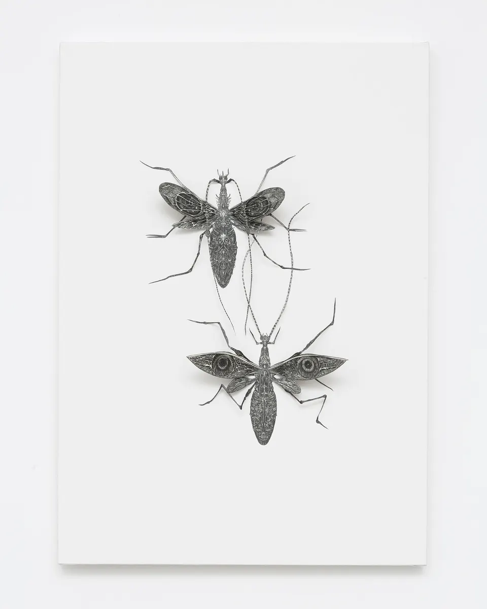Ataru Sato, Q1